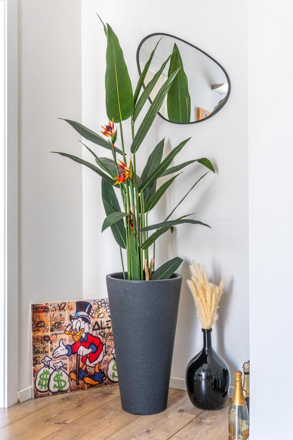Apartamento Sunny